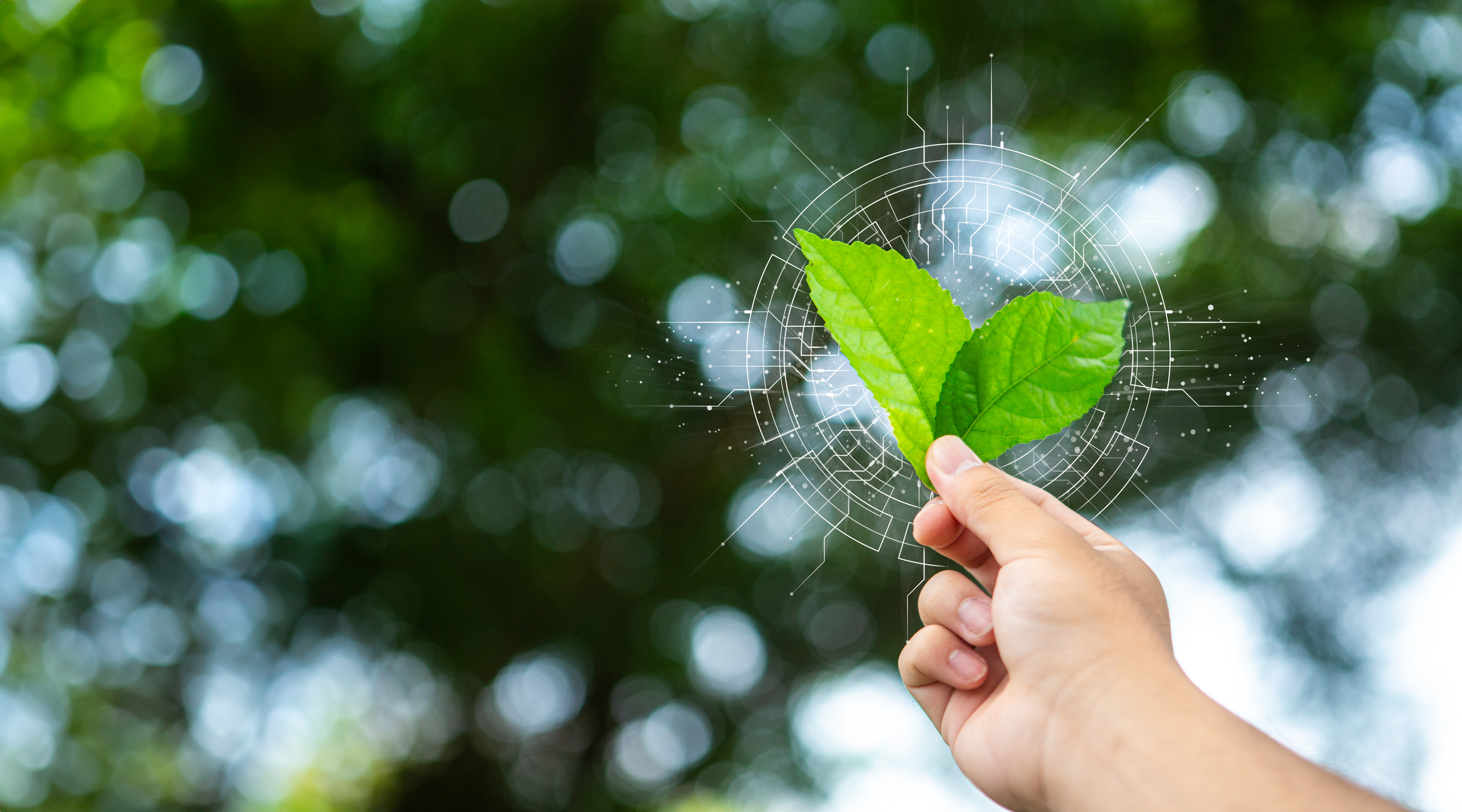 GMSF Pocket Guide: How to measure the carbon footprint of your ad campaigns