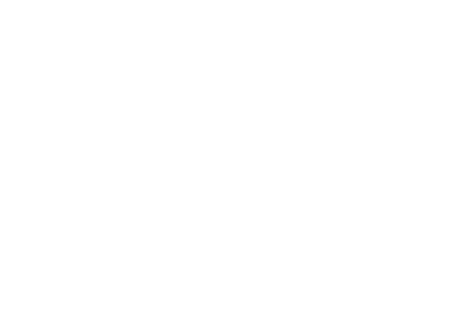 AirNZ_Wordmark Stacked Reversed